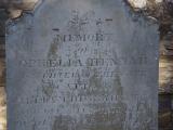 image of grave number 833215